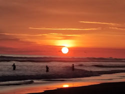 Cabinas Playa Matapalo